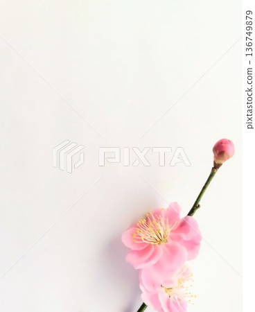 Ran plum of one wheel Ran plum of one wheel 136749879