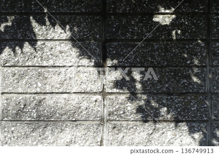 Shadows and silhouettes of leaves reflected on a block wall 136749913
