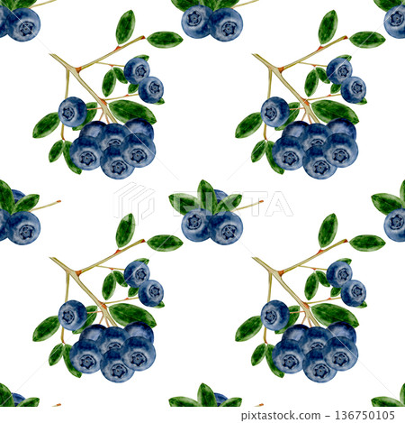 Blueberry watercolor seamless pattern. Hand-drawn blue berry on a white background. Botanical clip art. Perfect for food blog designs, organic store menus, and packaging for products and cosmetics. 136750105