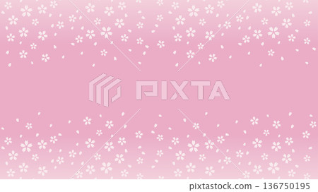 Small cherry blossom frame background Small cherry blossom frame background 136750195