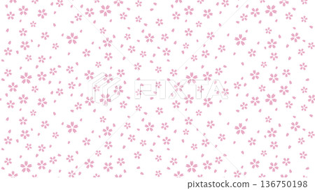 白色背景上的小櫻花無縫圖案 136750198