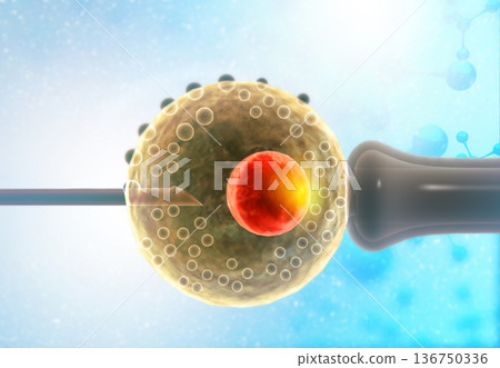 vitro fertilization. medical background 136750336