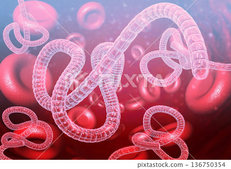 Ebola virus in blood Ebola virus in blood 136750354