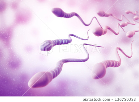 Sperm cells on Scientific background 136750358
