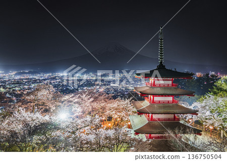 荒倉山淺間公園夜景：美麗的燈光櫻花與忠靈塔 [山梨縣藤吉田市] 136750504