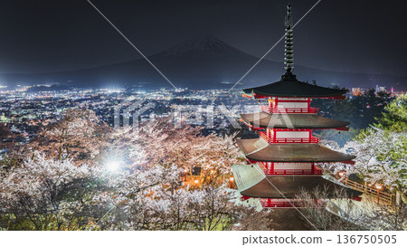 荒倉山淺間公園夜景：燈光映照下的櫻花、忠塔和漂浮在夜色中的富士山 [山梨縣富士吉田市] 136750505