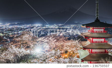 Night view of Arakurayama Sengen Park: illuminated cherry blossoms, Chureito Pagoda, and Mount Fuji floating in the dark [Fujiyoshida City, Yamanashi Prefecture] 136750507