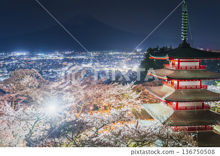 荒倉山淺間公園夜景：壯觀的燈光櫻花和忠實塔 [山梨縣藤吉田市] 136750508