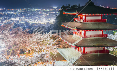 Night view of Arakurayama Sengen Park: Spectacular illuminated cherry blossoms and Chureito Pagoda [Fujiyoshida City, Yamanashi Prefecture] 136750511