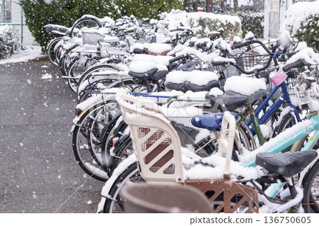 公園自行車停車場裡的腳踏車上飄落著雪花。 136750605