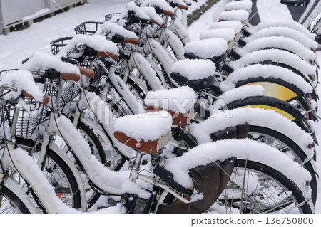 公園自行車停車場裡的腳踏車上飄落著雪花。 公園自行車停車場裡的腳踏車上飄落著雪花。 136750800