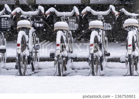 公園自行車停車場裡的腳踏車上飄落著雪花。 公園自行車停車場裡的腳踏車上飄落著雪花。 136750801