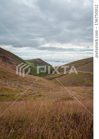 Autumn grasslands and mountains with autumn leaves floating in a sea of clouds 136750912