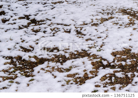 Patchy snow and ground patterns 136751125