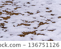 Patchy snow and ground patterns 136751126