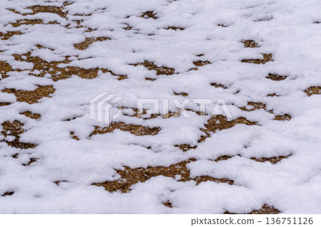 零星的積雪和地面圖案 136751126
