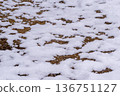 Patchy snow and ground patterns 136751127