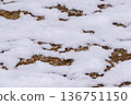 Patchy snow and ground patterns 136751150