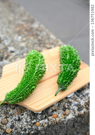 家庭花園的Goya 家庭花園的Goya 136751982