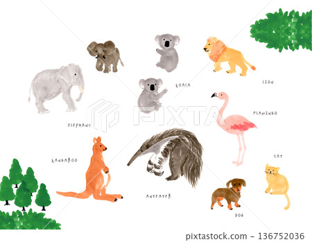 Hand-drawn illustration set of various animals Hand-drawn illustration set of various animals 136752036