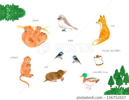 動物可愛插圖集 136752037