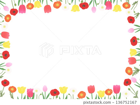 春季花卉邊框向量圖：鬱金香和罌粟花裝飾邊框素材 136752167