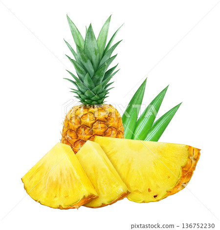 Pineapple illustration pineapple realistic 136752230