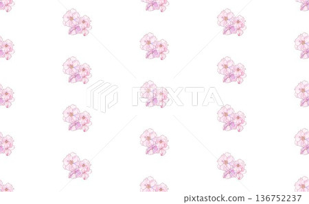 櫻花⑤ 136752237