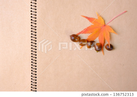Sketchbook, maple leaves, and acorns - Autumn image material Sketchbook, maple leaves, and acorns - Autumn image material 136752313