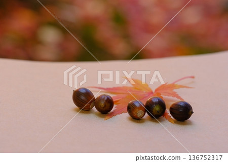 Sketchbook, maple leaves, and acorns - Autumn image material Sketchbook, maple leaves, and acorns - Autumn image material 136752317