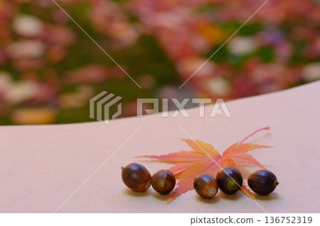 Sketchbook, maple leaves, and acorns - Autumn image material Sketchbook, maple leaves, and acorns - Autumn image material 136752319