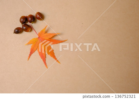 Sketchbook, maple leaves, and acorns - Autumn image material Sketchbook, maple leaves, and acorns - Autumn image material 136752321
