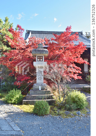 井岡寺秋葉 136752326