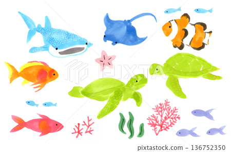 夏季海洋多彩生物插圖 136752350