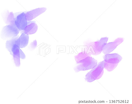 白色背景花卉素材，白色背景，透射光，素材 136752612