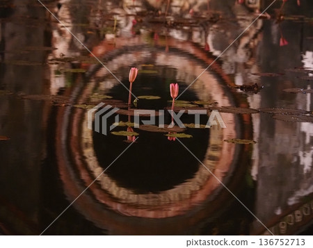 越南會安的風景 越南會安的風景 136752713