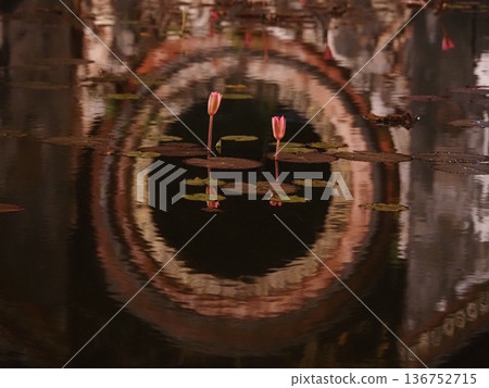 越南會安的風景 越南會安的風景 136752715