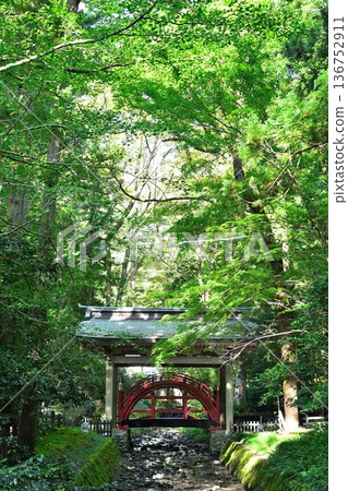 Tama-no-Hashi Bridge in the grounds of Yahiko Shrine (Yahiko Village, Niigata Prefecture) Tama-no-Hashi Bridge in the grounds of Yahiko Shrine (Yahiko Village, Niigata Prefecture) 136752911