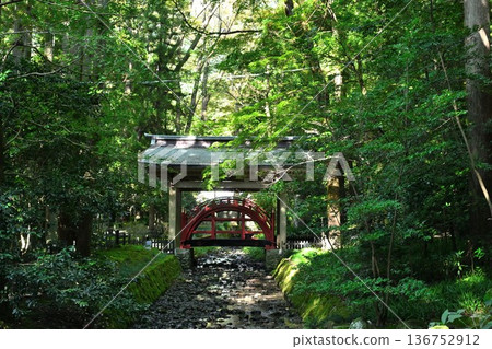 彌彥神社內的玉之橋（新潟縣彌彥村） 136752912