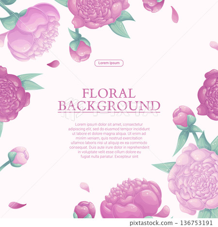 Colorful background with beautiful delicate peonies. Wedding concept, March 8th, mother's day, birthday. Vector illustration for the design of posters, flyers, postcards, invitations Colorful background with beautiful delicate peonies. Wedding concept, March 8th, mother's day, birthday. Vector illustration for the design of posters, flyers, postcards, invitations 136753191
