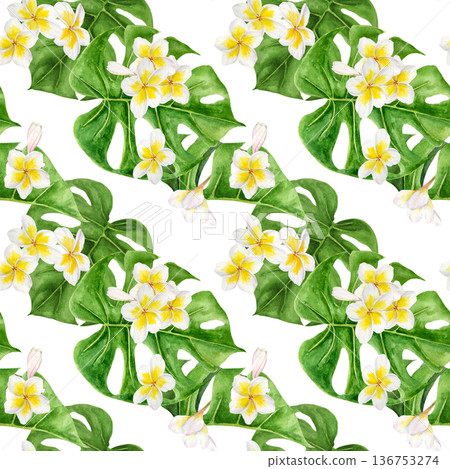 Seamless watercolor tropical pattern with white plumeria flowers and yellow centers arranged over green monstera leaves. Hand painted repeating botanical print for textile, wallpaper, surface print 136753274