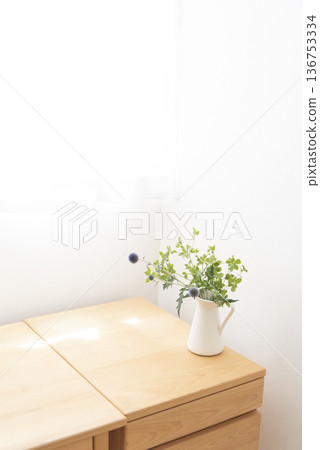 houseplants placed on the table houseplants placed on the table 136753334