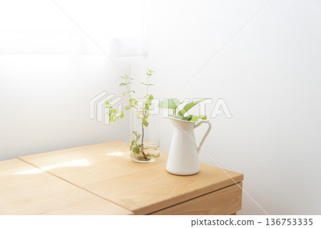 Bright room with houseplants Bright room with houseplants 136753335