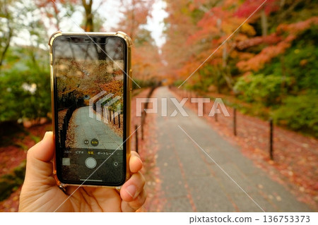 用智慧型手機拍攝的秋葉紀念照 用智慧型手機拍攝的秋葉紀念照 136753373