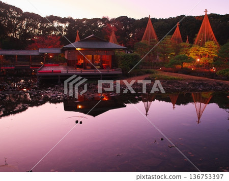 名古屋的秋天,白鳥庭園,夕陽染紅的天空,清波亭茶室,以及雪祭樹 名古屋的秋天,白鳥庭園,夕陽染紅的天空,清波亭茶室,以及雪祭樹 136753397