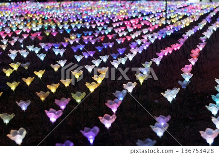 照明(光產生) 照明(光產生) 136753428