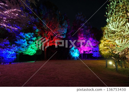 Illuminations (light production) 136753430