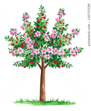 開花樹的插圖素材 136753599