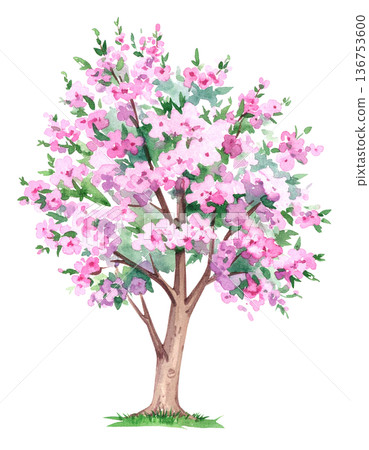 開花樹的插圖素材 開花樹的插圖素材 136753600