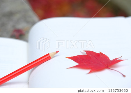 Autumn image material of notebook and maple leaves 136753660